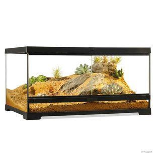 Тераріум ExoTerra для екзотичних тварин Pro Terrarium скляний 60х45х30 см PT4407_ord фото