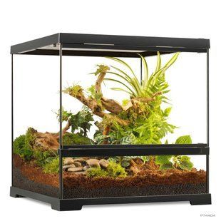 Тераріум ExoTerra для екзотичних тварин Pro Terrarium скляний 45x45x45 см PT4404 фото