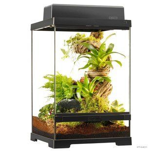 Тераріум ExoTerra для екзотичних тварин Pro Terrarium скляний 30x30x45 см PT4401 фото